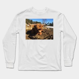 Scottish Highland Cattle Bull 1974 Long Sleeve T-Shirt